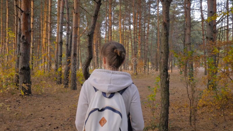 Vue arrière jeune femme avec sac à dos marche en automne parc steadicam shot banque de vidéos