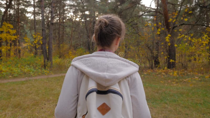 Vue arrière jeune femme avec sac à dos marche en automne parc steadicam shot banque de vidéos