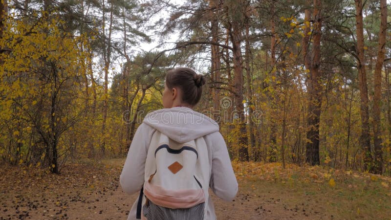 Vue arrière jeune femme avec sac à dos marche en automne parc steadicam shot banque de vidéos