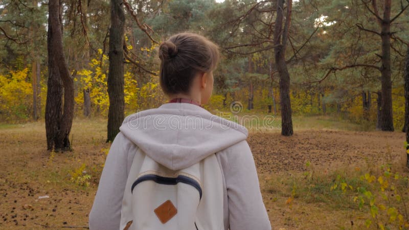Vue arrière jeune femme avec sac à dos marche en automne parc steadicam shot clips vidéos