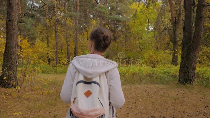 Vue arrière jeune femme avec sac à dos marche en automne parc steadicam shot clips vidéos