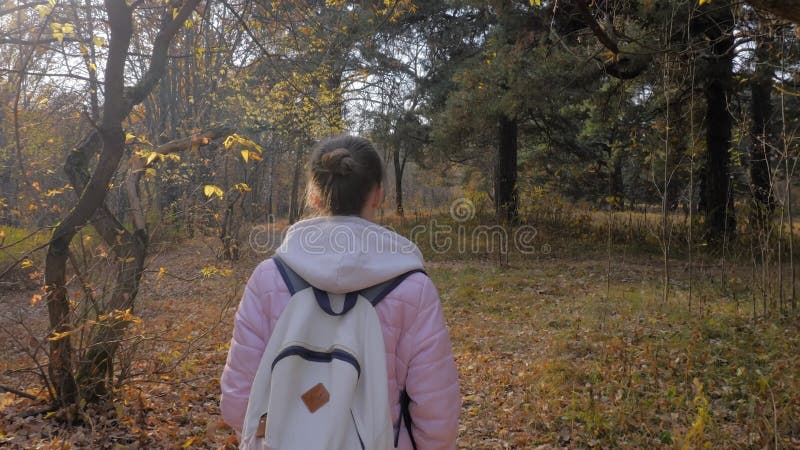 Vue arrière jeune femme avec sac à dos marche en automne parc steadicam shot banque de vidéos