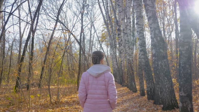 Vue arrière : jeune femme marchant dans le parc d'automne steadicam tourné feu de lentilles de soleil clips vidéos