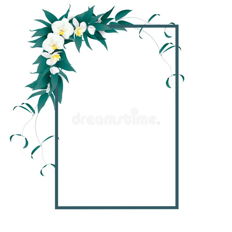 Vue avec les feuilles et l'orchidée de mite blanche. La vue pour le texte décoré des feuilles de vert d'été et de l'orchidée de luxe tropicale a appelé le phalaenopsis ou l'orchidée de mite sur le fond blanc Illustration de vecteur