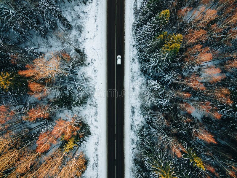 Vue aérienne d'arbres enneigés sur la route forestière et d'hiver avec une voiture photo libre de droits