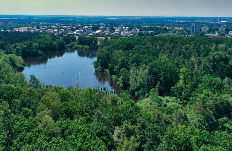 Vue aérienne d'un espace forestier verdoyant densément surélevé avec un grand étang ancien et les maisons de la ville en arri image libre de droits