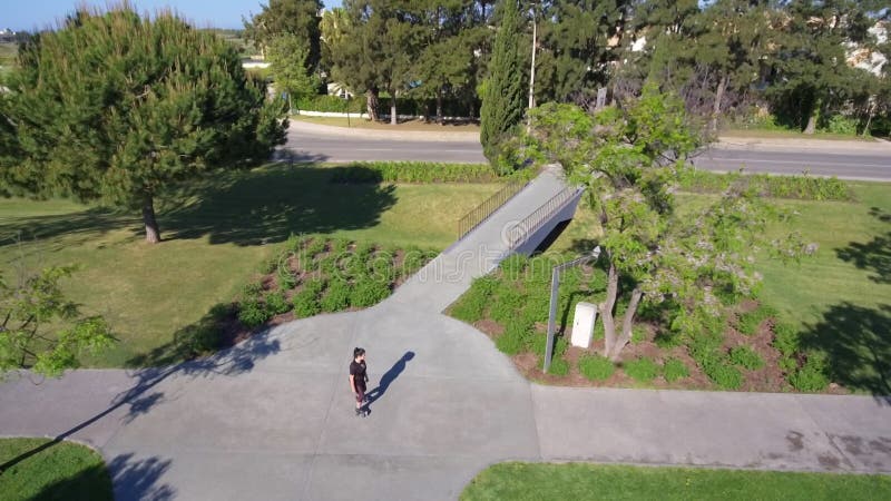 Vue aérienne d'une fille sportive sur des patins à rouleaux. conduite sur asphalte dans un parc verdoyant. remise. vue latérale. clips vidéos