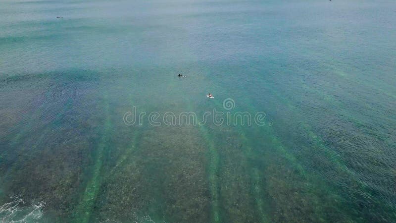 Vue aérienne d'été des surfeurs attendant de grosses vagues dans l'océan bleu turquoise. banque de vidéos