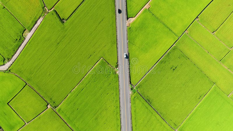 Vue aérienne de Beaux rizières et route Taïwan clips vidéos