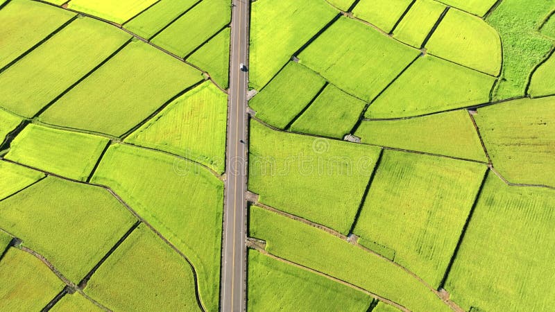 Vue aérienne de Beaux rizières et route Taïwan banque de vidéos
