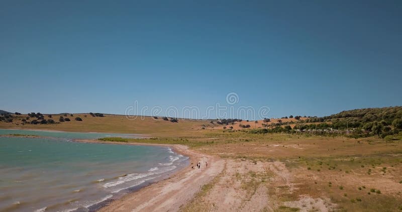 Vue aérienne de bourdon au-dessus de camping sur le rivage de lac clips vidéos