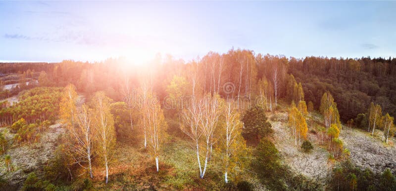 Vue aérienne de bourdon de ci-dessus du champ de maïs après récolte, forêt et terres cultivables dans le coucher du soleil d'auto photographie stock libre de droits Vue aérienne de bourdon de ci-dessus du champ de maïs après récolte, forêt et terres cultivables dans le coucher du soleil d'auto photographie stock libre de droits