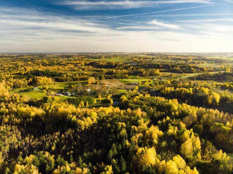 Vue aérienne de forêt avec les arbres verts et jaunes Beau paysage mélangé de chute de forêt à feuilles caduques et conifére près. Vue aérienne de forêt d'automne avec les arbres verts et jaunes Beau paysage mélangé de chute de forêt à feuilles caduques et conifére près de ville de Vilnius, Lithuanie
