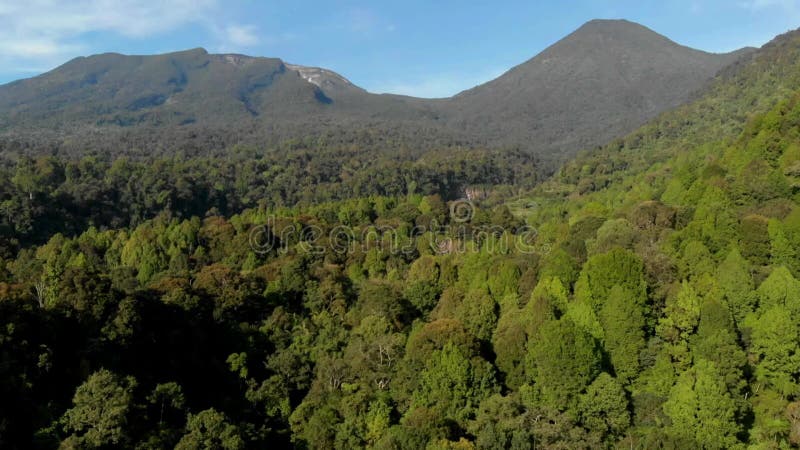 Vue aérienne de la beauté du parc national du Mont Gede Pangrango banque de vidéos