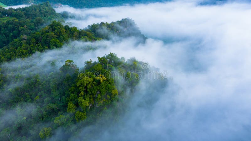 Vue aérienne de la brume matinale à la montagne de la forêt tropicale humide, arrière-plan de la forêt et de la brume, vue aérien photos stock
