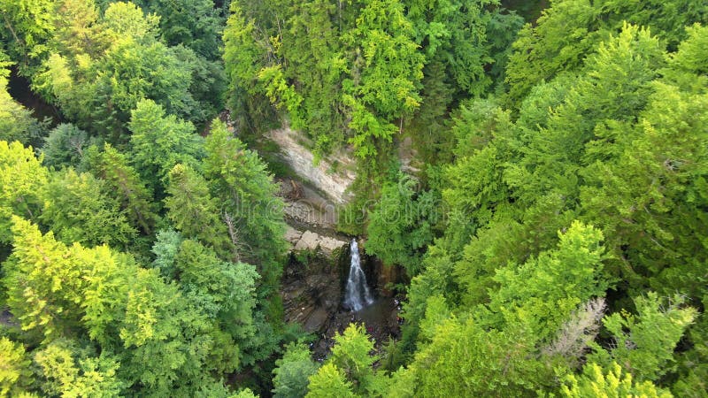 Vue aérienne de la cascade sur la rivière de montagne avec de l'eau de mousse blanche tombant de la formation rocheuse dans la for banque de vidéos