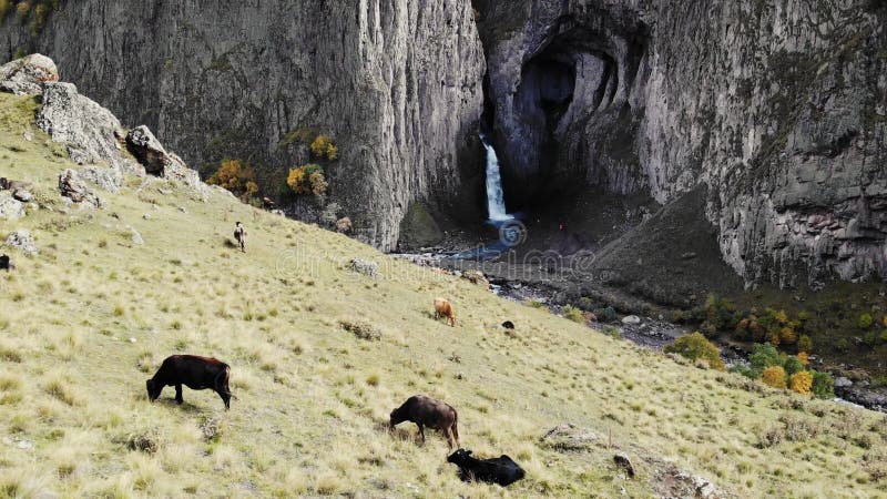 Vue aérienne de la grande cascade caucase. un puissant ruisseau d'eau propre s'échappe du glacier fondu clips vidéos