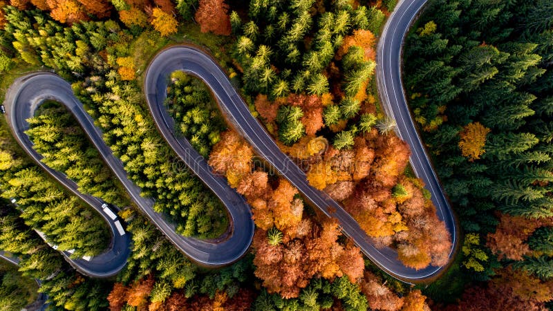 Vue aérienne de la route forestière en automne au coucher du soleil Détails de la route asphaltée serpentine avec paysage coloré photo stock