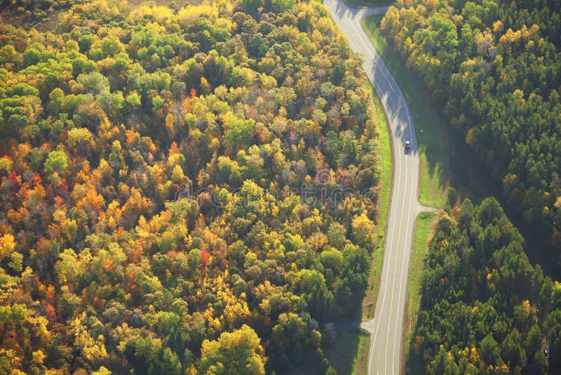 Vue aérienne de route courbant par des bois dans la couleur de chute images libres de droits
