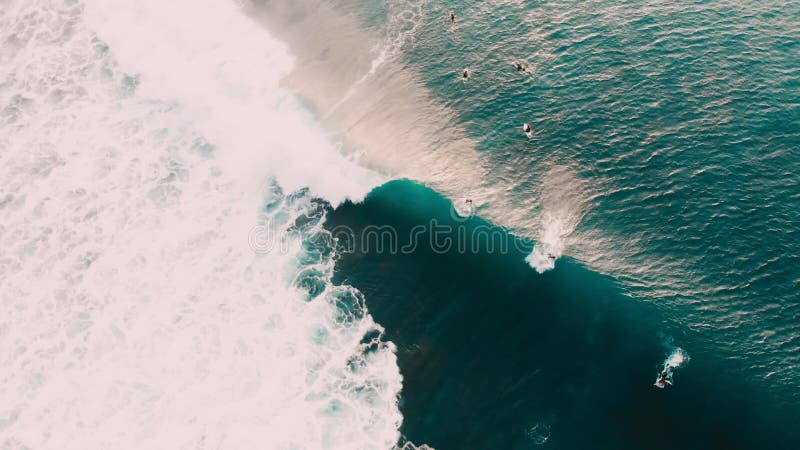 Vue aérienne des surfers et de la vague bleue de baril dans l'océan Surfer et vagues dans Bali clips vidéos