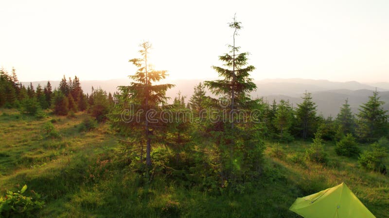 Vue aérienne du camping à flanc de colline herbacée avec tentes éparpillées au milieu d'une végétation luxuriante et d'arbres. clips vidéos
