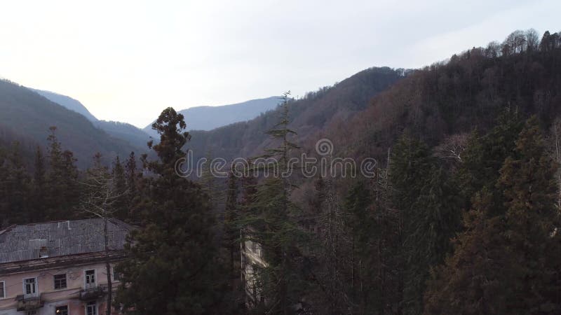 Vue aérienne du drone de vieilles maisons démolies résidentielles au milieu de la forêt de pins. Tir. Destruction et ruines de banque de vidéos