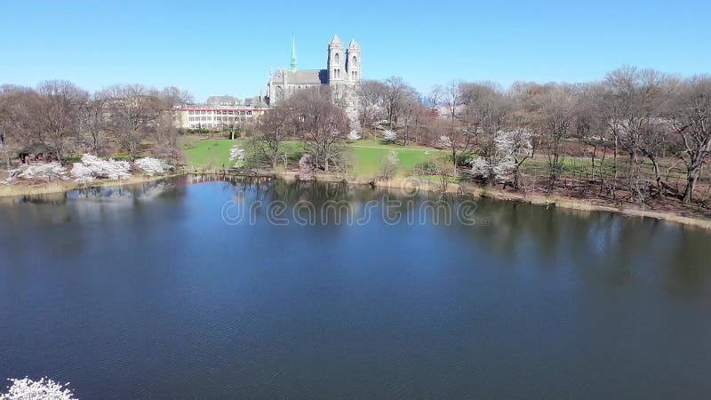 Vue aérienne du festival de fleurs de cerisiers à Branch Brook Park Newark New Jersey banque de vidéos