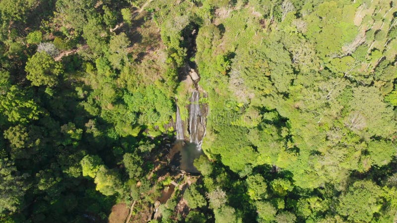 Vue aérienne en cascade dans la forêt tropicale à Bali banque de vidéos