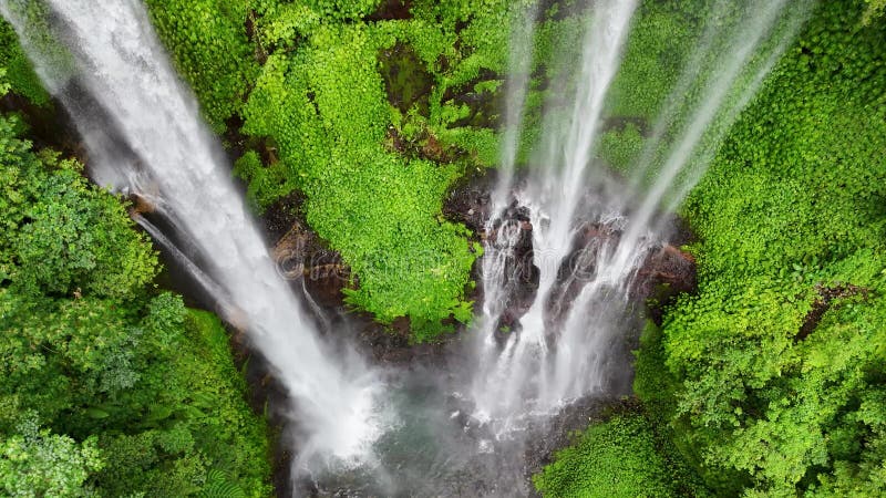 Vue aérienne rapprochée de la cascade de Sekumpul à Bali clips vidéos