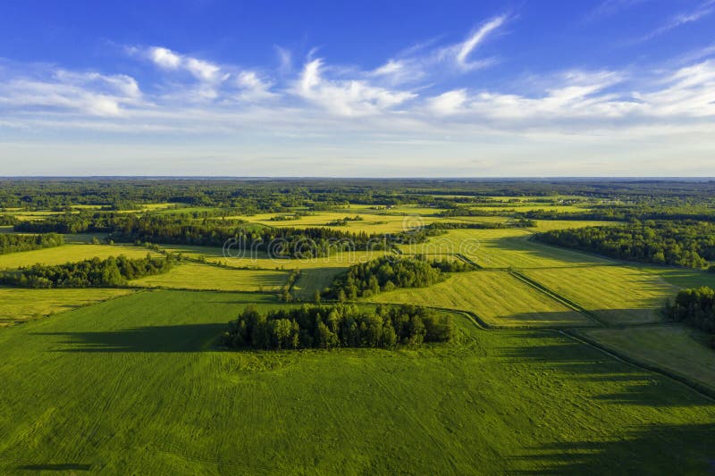 Vue aérienne supérieure des champs et des prés verts en été Paysage abstrait avec des lignes des champs, de l'herbe, des arbres, photos stock Vue aérienne supérieure des champs et des prés verts en été Paysage abstrait avec des lignes des champs, de l'herbe, des arbres, photos stock