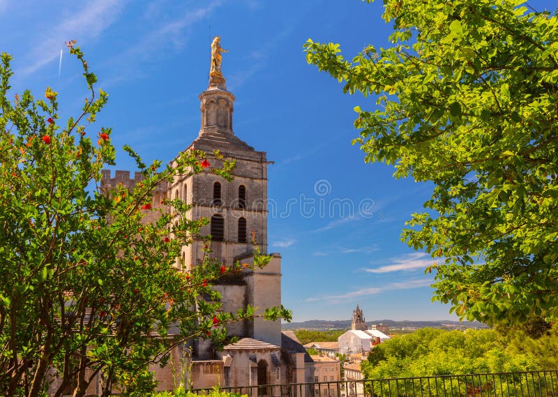 Vue aérienne sur avignon france. La cathédrale ensoleillée d'avignon en avignon sud de la france
