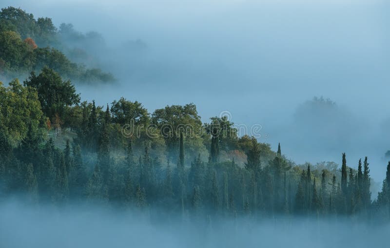 Vue brumeuse de paysages magnifiques du chianti tôt le matin de région collines de la Toscane. Arbres de sapins et de cyprès descendant en nuages brumeux sur les pentes de la montagne. Province de Florence (Italie)