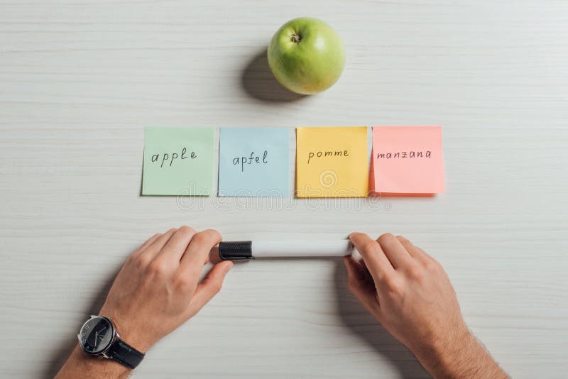 Cropped view of translator with apple and note stickers holding marker. Cropped view of translator with apple and note stickers holding marker