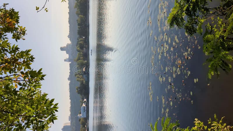 Vue d'automne dorée sur la rive droite de dnipro à kyiv. vidéo verticale clips vidéos