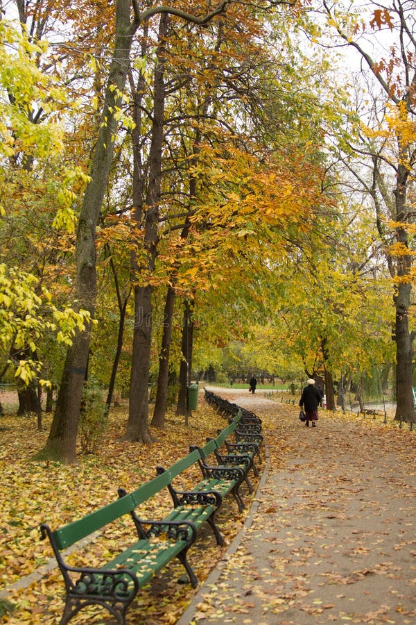 Vue d'automne en parc photographie stock Vue d'automne en parc photographie stock