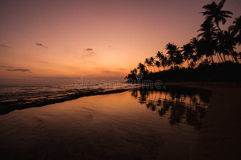 Vue d'or du coucher du soleil en plage avec la silhouette du palmier sur la côte sud du Sri Lanka. photographie stock libre de droits
