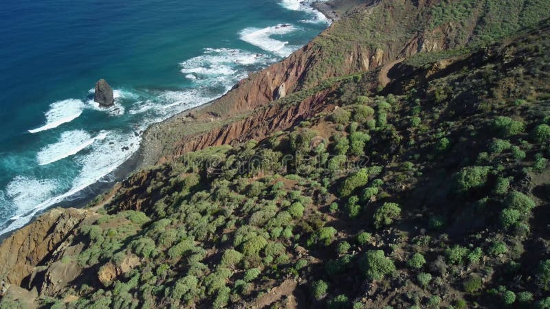 Vue d'oiseaux sur le village près de punto hedalgo sur la côte atlantique banque de vidéos