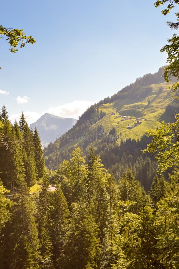 Vue d'une vallée et des collines vertes images stock Vue d'une vallée et des collines vertes images stock