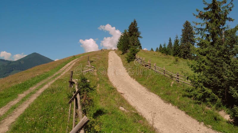 Vue d'été de campagne avec l'ancienne route. banque de vidéos
