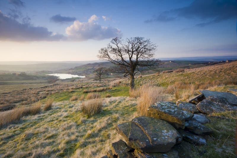 Vue de bruyère de Yorkshire images stock Vue de bruyère de Yorkshire images stock