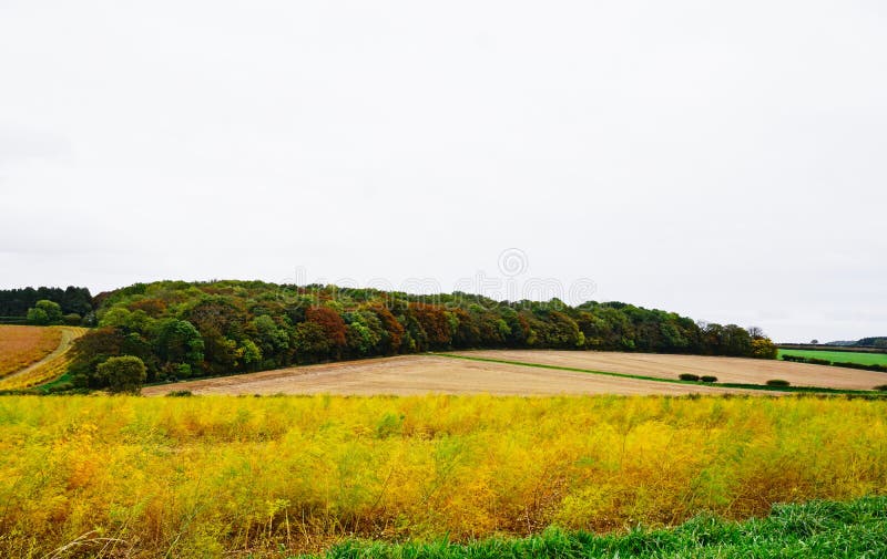Vue de campagne de la Norfolk photographie stock libre de droits Vue de campagne de la Norfolk photographie stock libre de droits