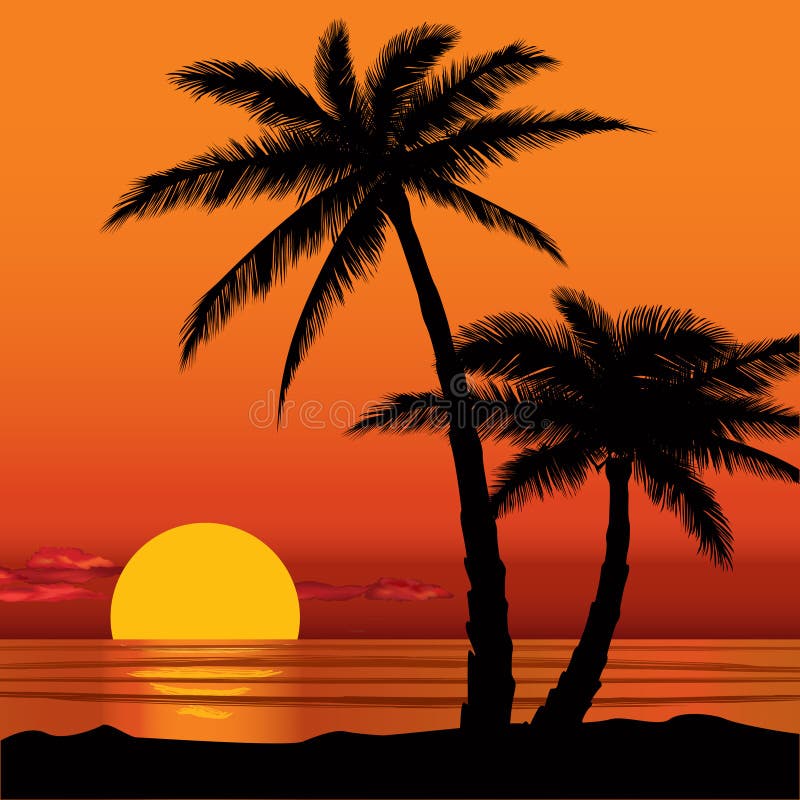 Vue de coucher du soleil en plage avec la silhouette de palmier