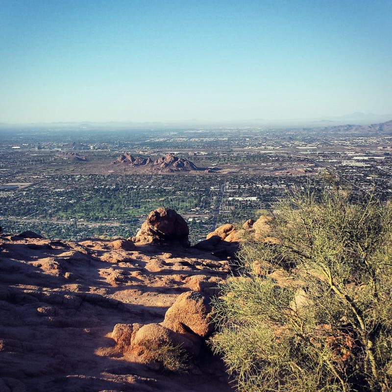 Vue du dos d'un chameau images libres de droits