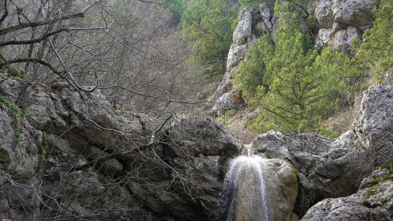 Vue de face sur l'eau tombant sur la petite rivière de montagne entrant dans le lit de la rivière pierreux couvert de la mousse F clips vidéos