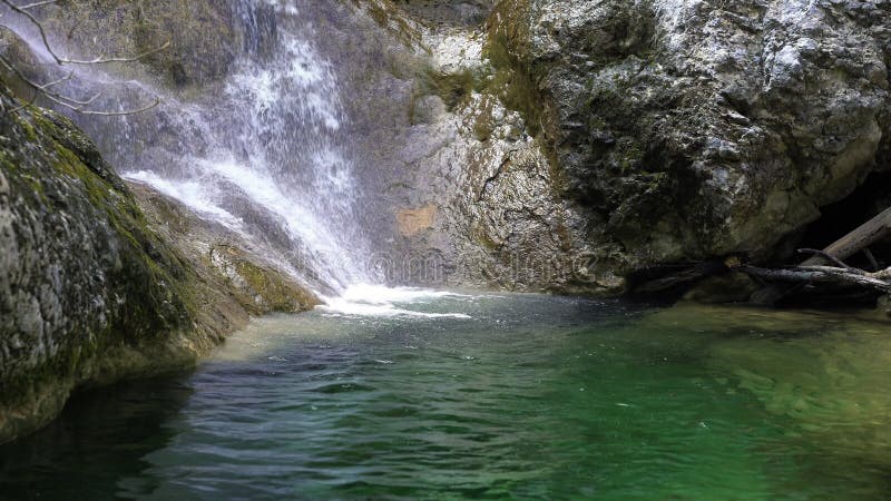 Vue de face sur la cascade sur la petite rivière de montagne entrant dans le lit de la rivière pierreux couvert de la mousse Eau clips vidéos