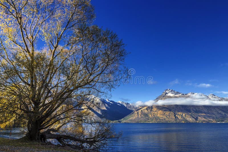 View of Lake Wakatipu, Glenorchy Queenstown Road, South Island, New Zealand. View of Lake Wakatipu, Glenorchy Queenstown Road, South Island, New Zealand