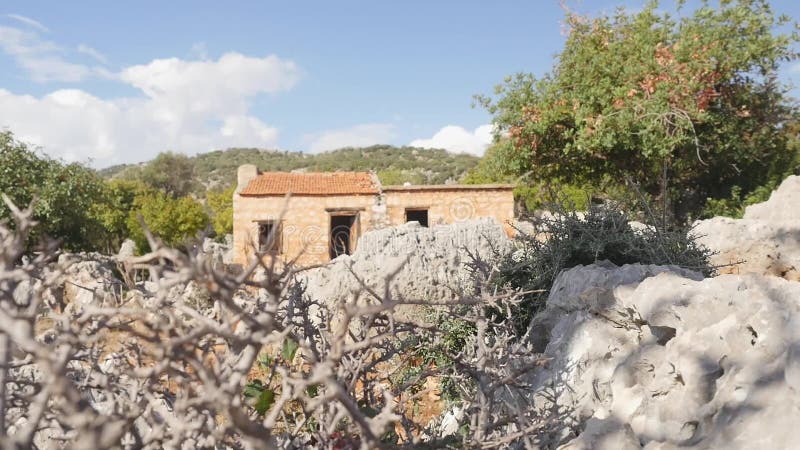 Vue de maison antique par le buisson ?pineux