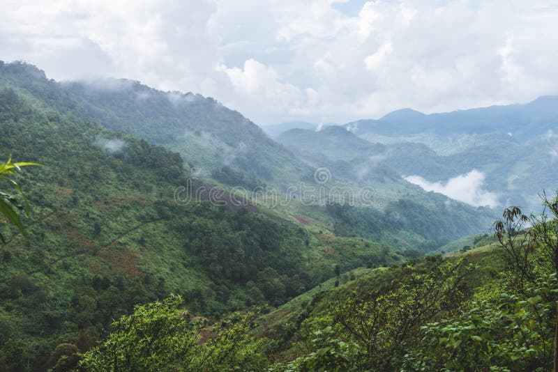 Vue de montagne brumeuse après la pluie dans Chiang Mai Thaïlande photographie stock Vue de montagne brumeuse après la pluie dans Chiang Mai Thaïlande photographie stock