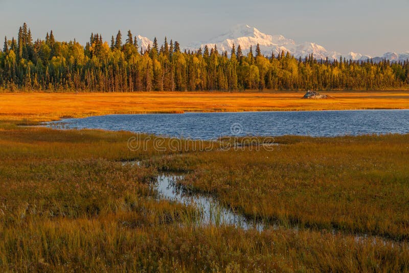 Vue de Mt Denali de point de vue à distance sur la route de Petersville, Alaska image libre de droits Vue de Mt Denali de point de vue à distance sur la route de Petersville, Alaska image libre de droits