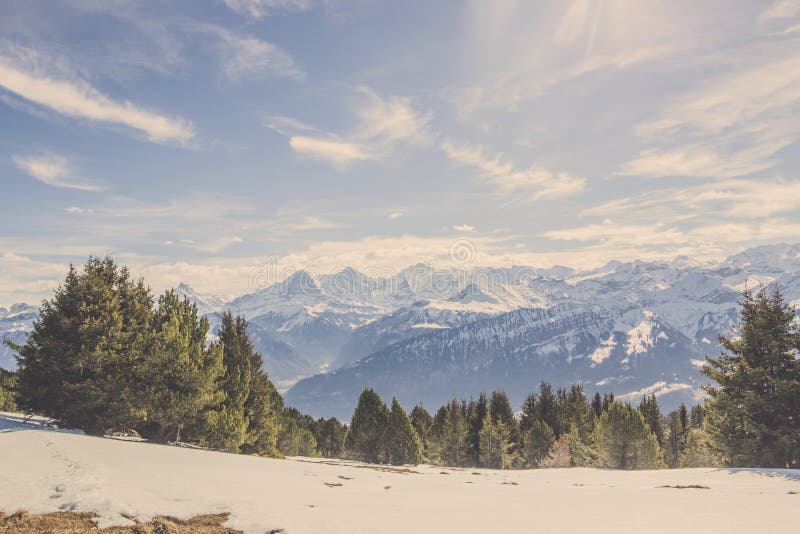 Vue de panorama de mountai suisse d'Alpes en hiver avec la forêt et le ciel bleu photo libre de droits Vue de panorama de mountai suisse d'Alpes en hiver avec la forêt et le ciel bleu photo libre de droits